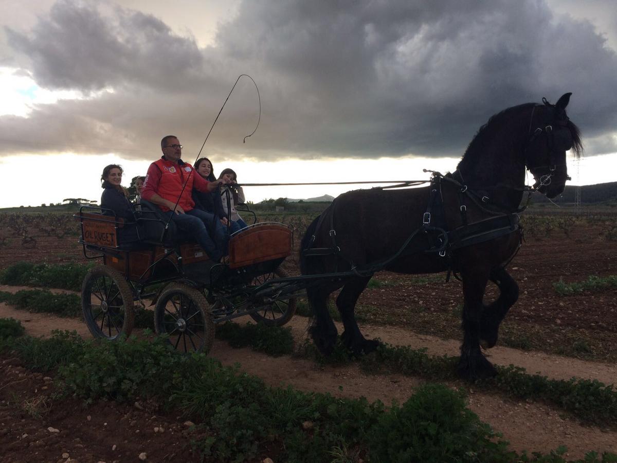Hotel Rural Cal Ruget Vilobi Del Penedes Εξωτερικό φωτογραφία